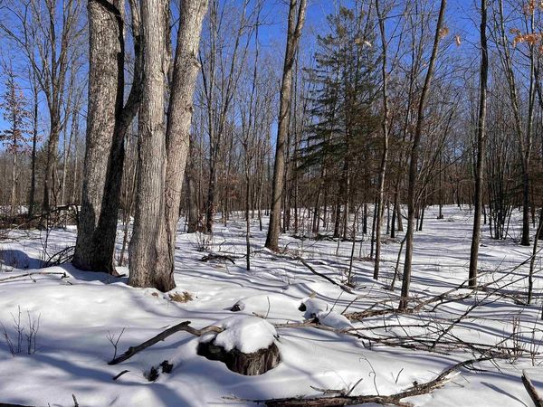 RHETT LANE, Wausaukee, WI 54177