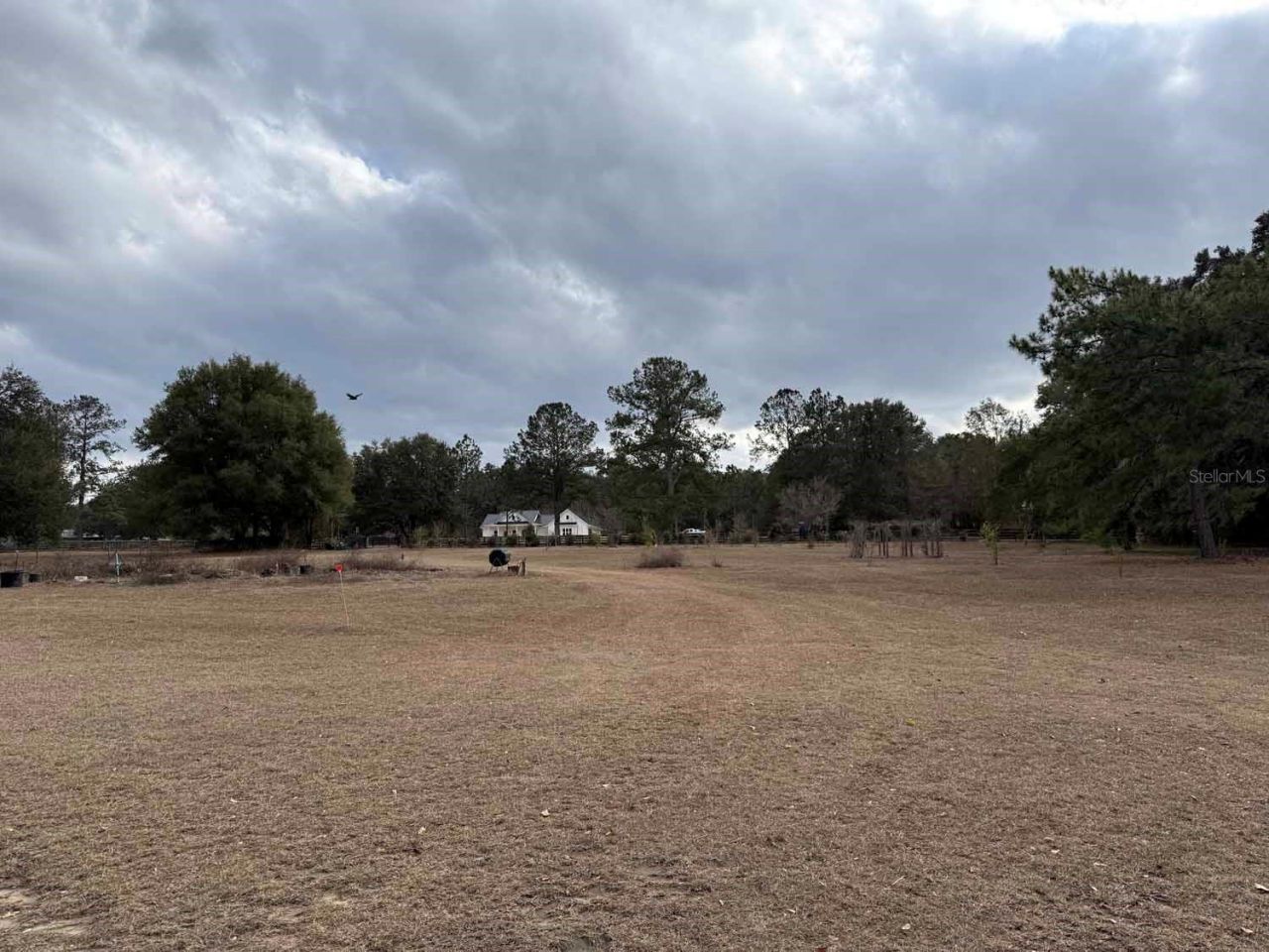 13106 NW 112th Avenue, Alachua, FL 32615 Photo