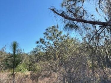 OLD GRADE ROAD, POLK CITY, FL 33868