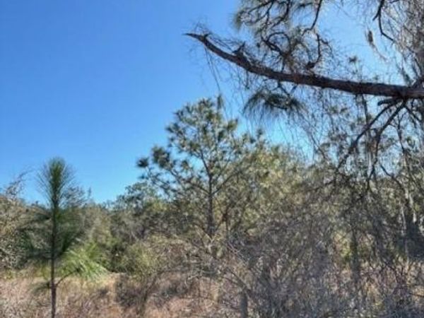 OLD GRADE ROAD, POLK CITY, FL 33868