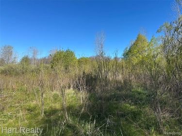 13 Single Tree Circle, Dryden Twp, MI 48428