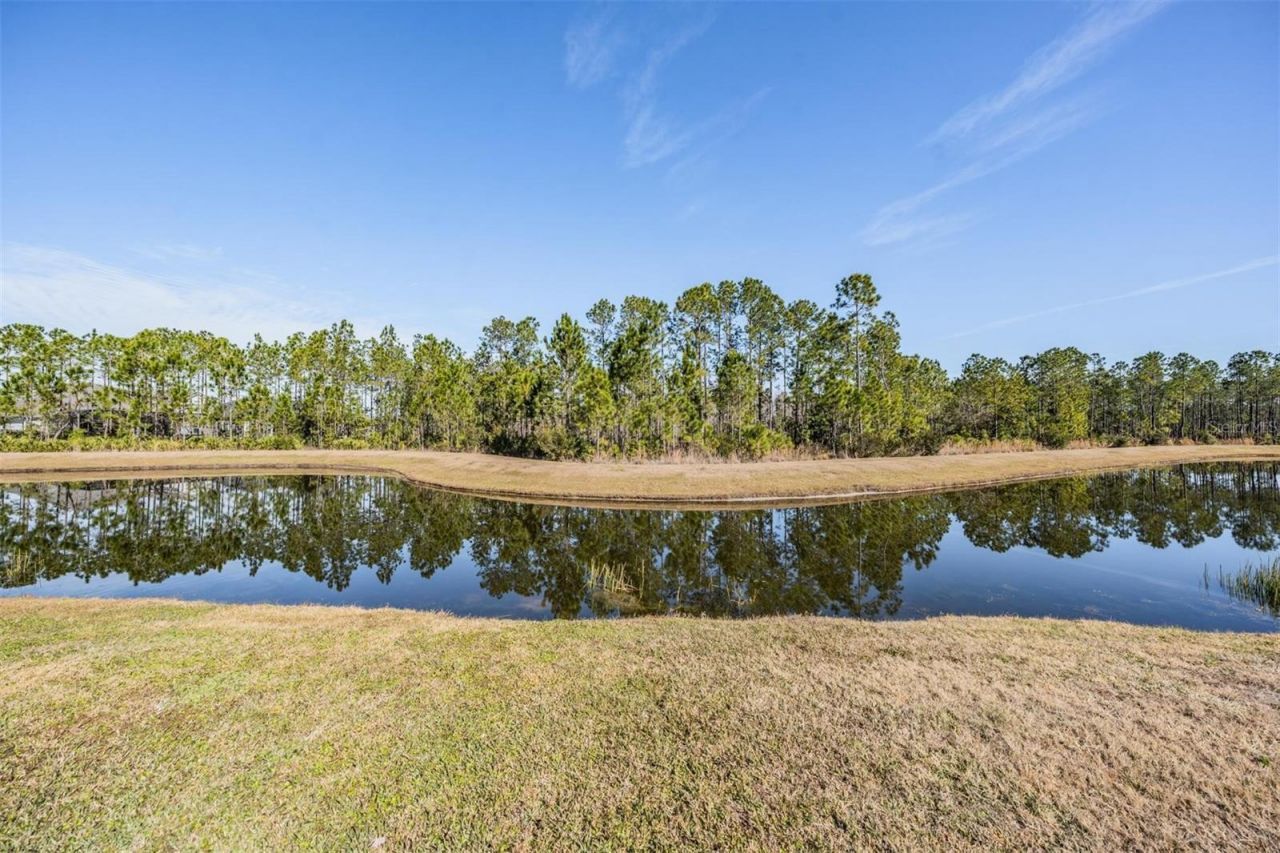 3378 Tour Trace, Land O Lakes, FL 34638 Photo