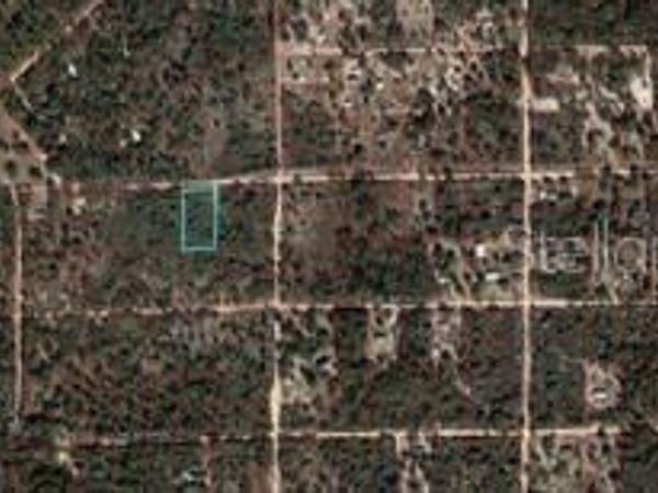 TBD NE 90TH STREET, BRONSON, FL 32621