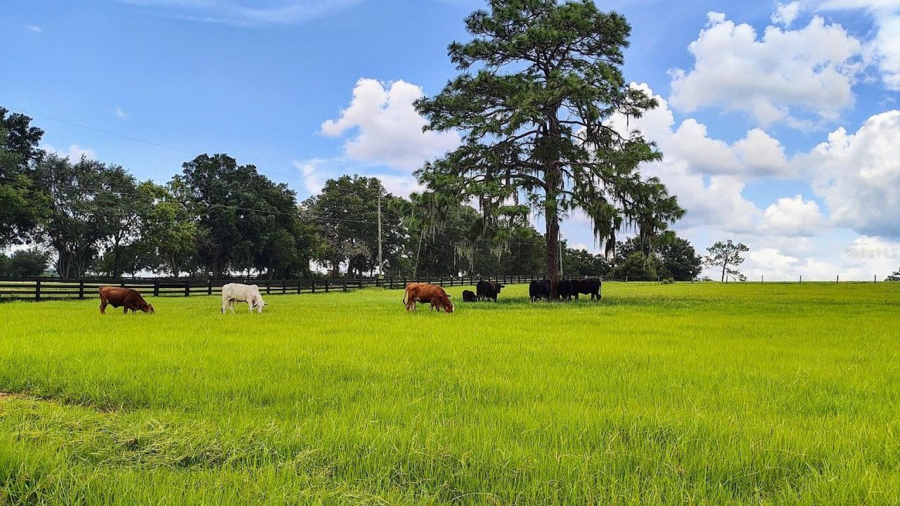 8385 S Pleasant Grove Road, Inverness, FL 34452 Photo