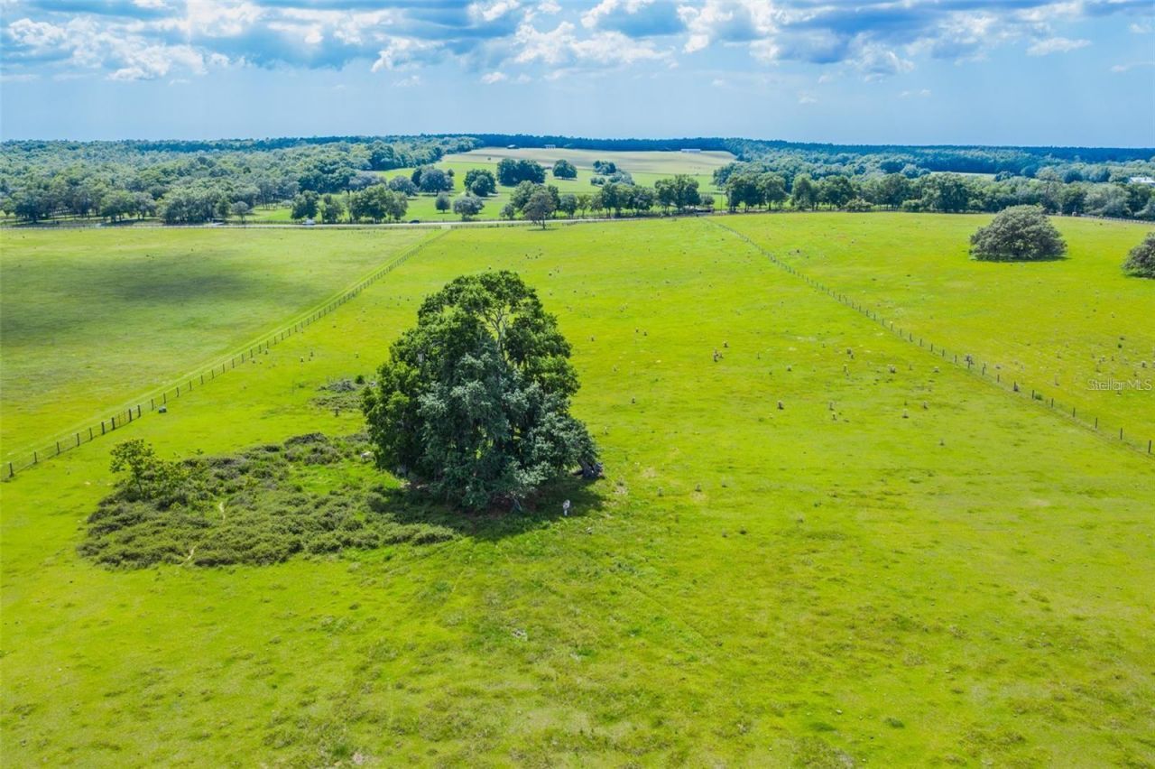 8385 S Pleasant Grove Road, Inverness, FL 34452 Photo