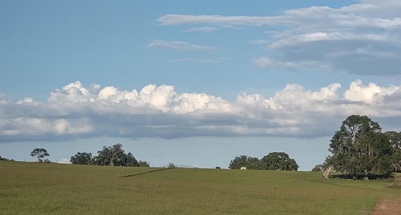 8385 S Pleasant Grove Road, Inverness, FL 34452 Photo