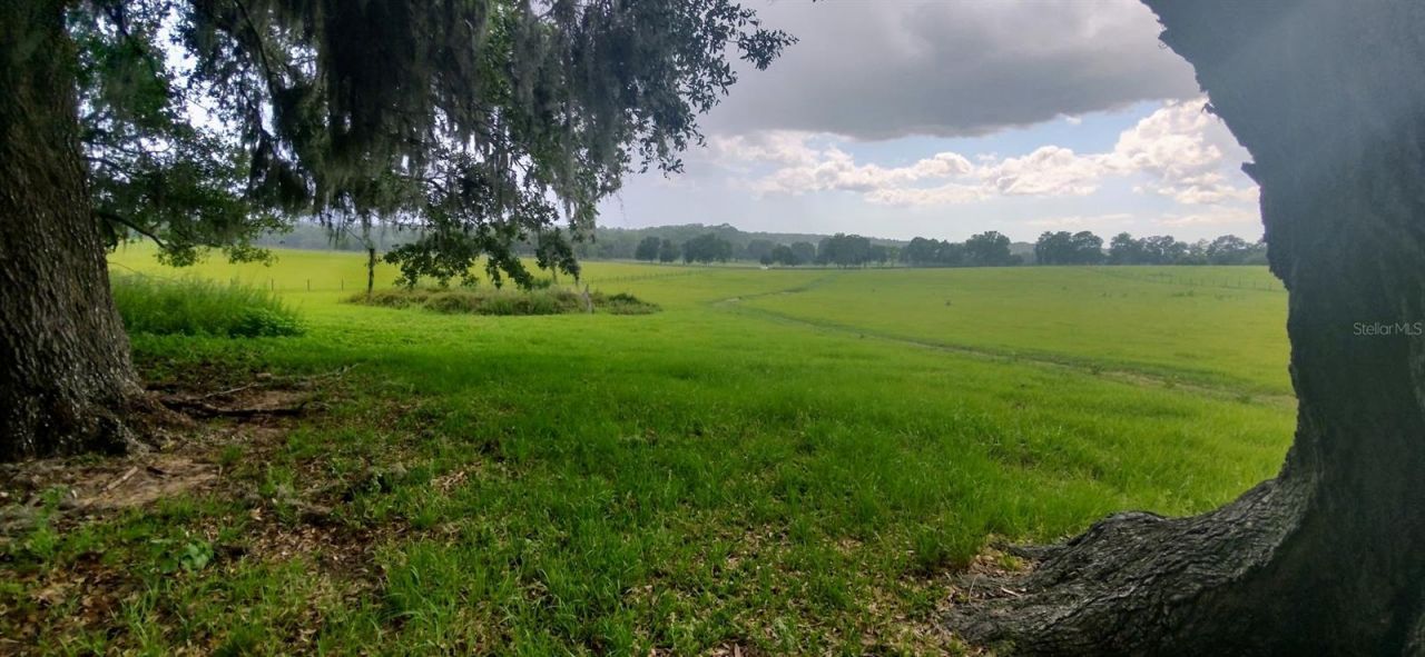 8385 S Pleasant Grove Road, Inverness, FL 34452 Photo