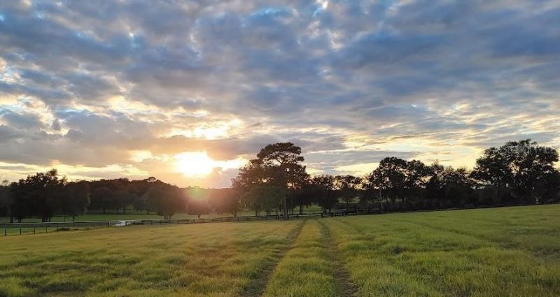 8385 S Pleasant Grove Road, Inverness, FL 34452 Photo