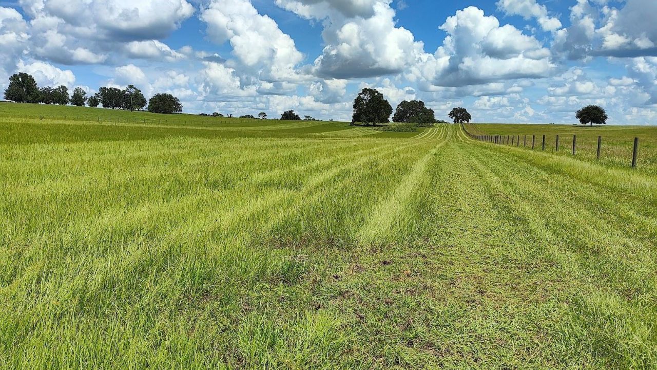 8385 S Pleasant Grove Road, Inverness, FL 34452 Photo