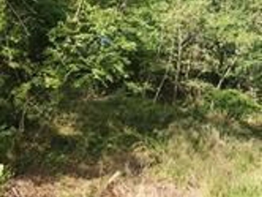 0 Lewisberry Road, York Haven, PA 17370 Main Photo