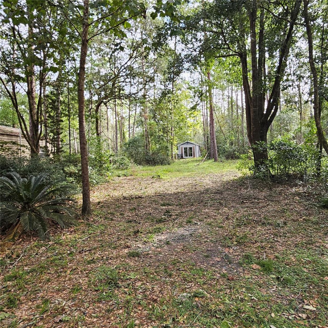 1255 Black Bear Ranch Trail, Pierson, FL 32180 Photo