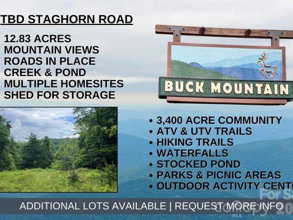 TBD Staghorn Road , Purlear, NC 28665