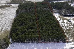 Tbd Carroll Todd Rd. photo 4