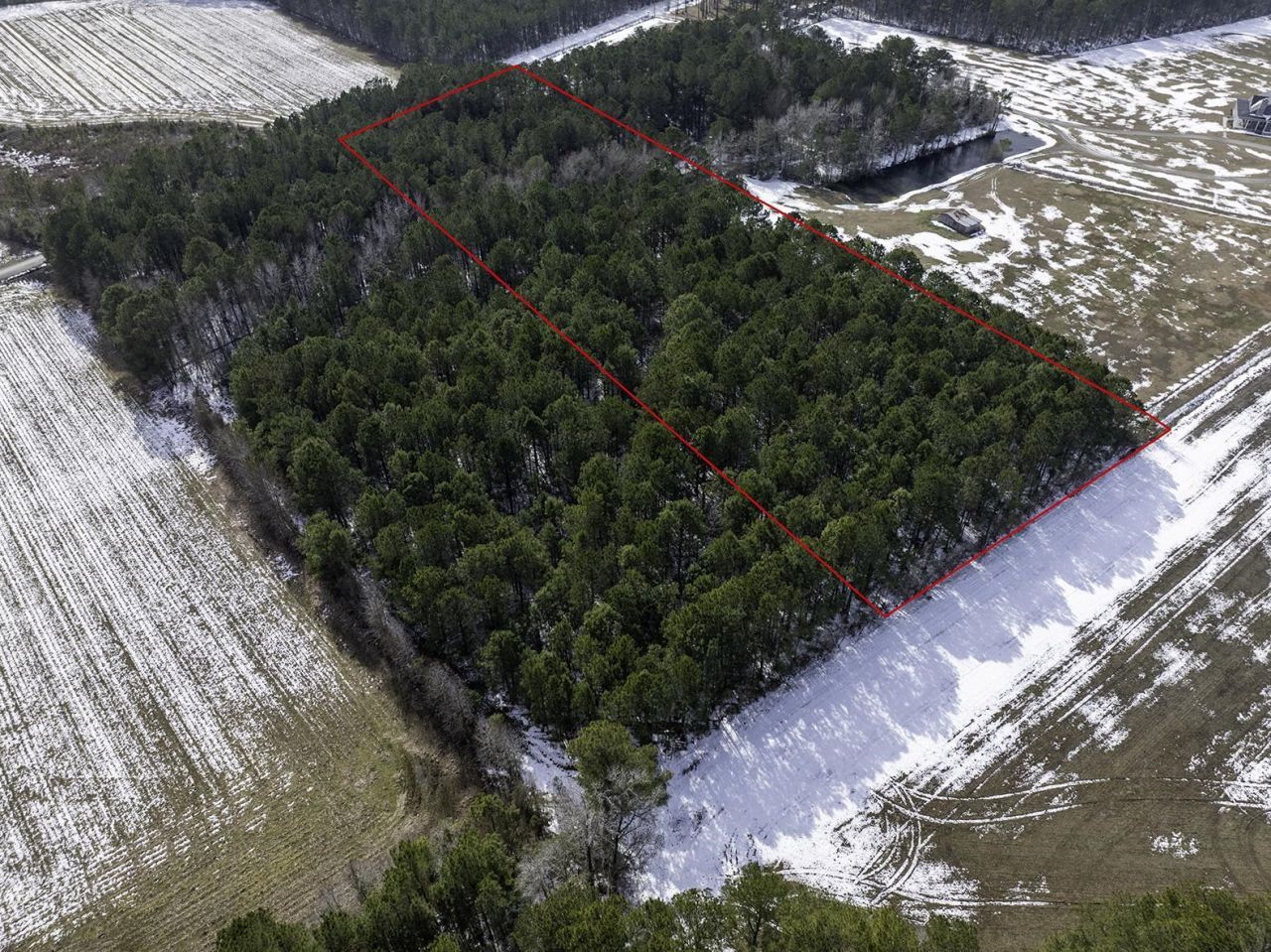 Tbd Carroll Todd Rd. Photo 5