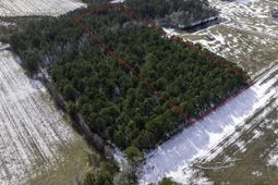 Tbd Carroll Todd Rd. photo 4