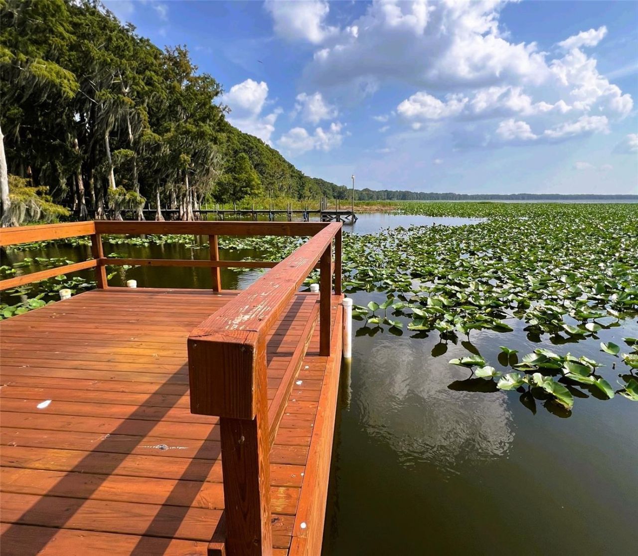 15618 SE Us Highway 301, Hawthorne, FL 32640 Photo