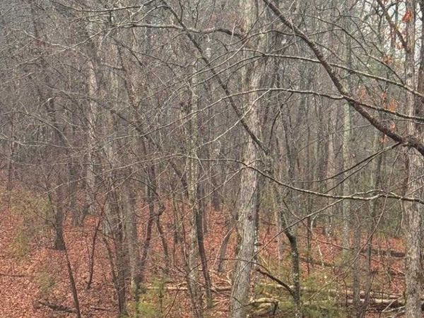 18 Bacham, Crossville, TN 38555