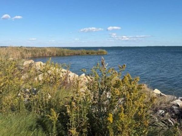 1631 STEAMBOAT WHARF, FISHING CREEK, MD 21634