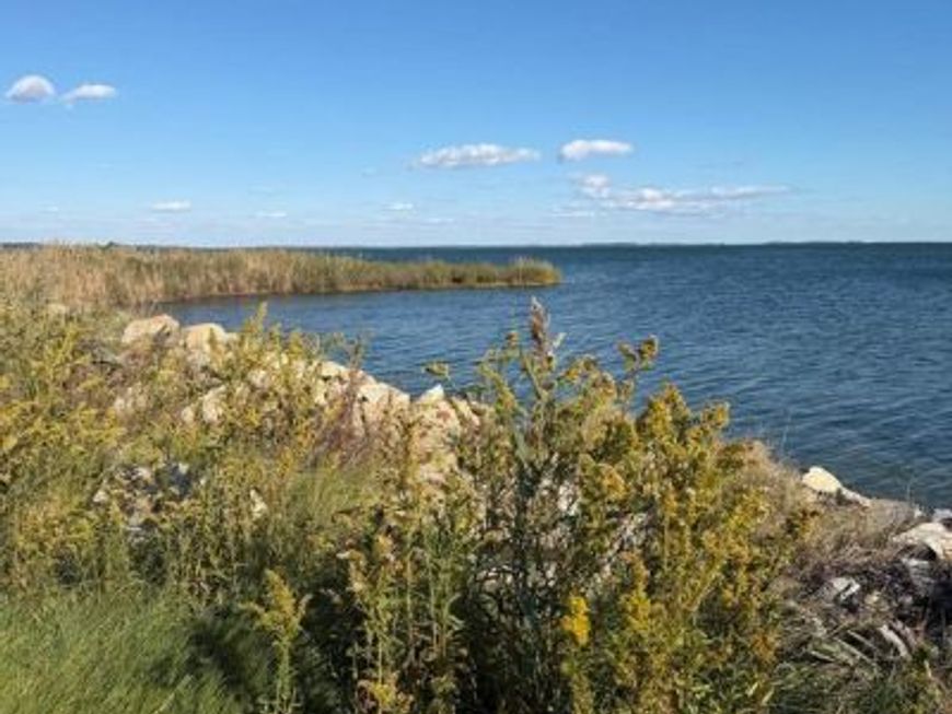 1631 Steamboat Wharf, Fishing Creek, MD 21634 Main Photo