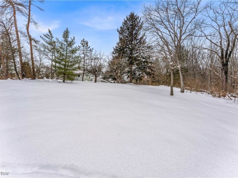 8556 Brecksville Road, Brecksville, OH 44141 Photo 41