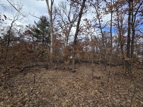 V/L W Mead Street, Baldwin, MI 49304