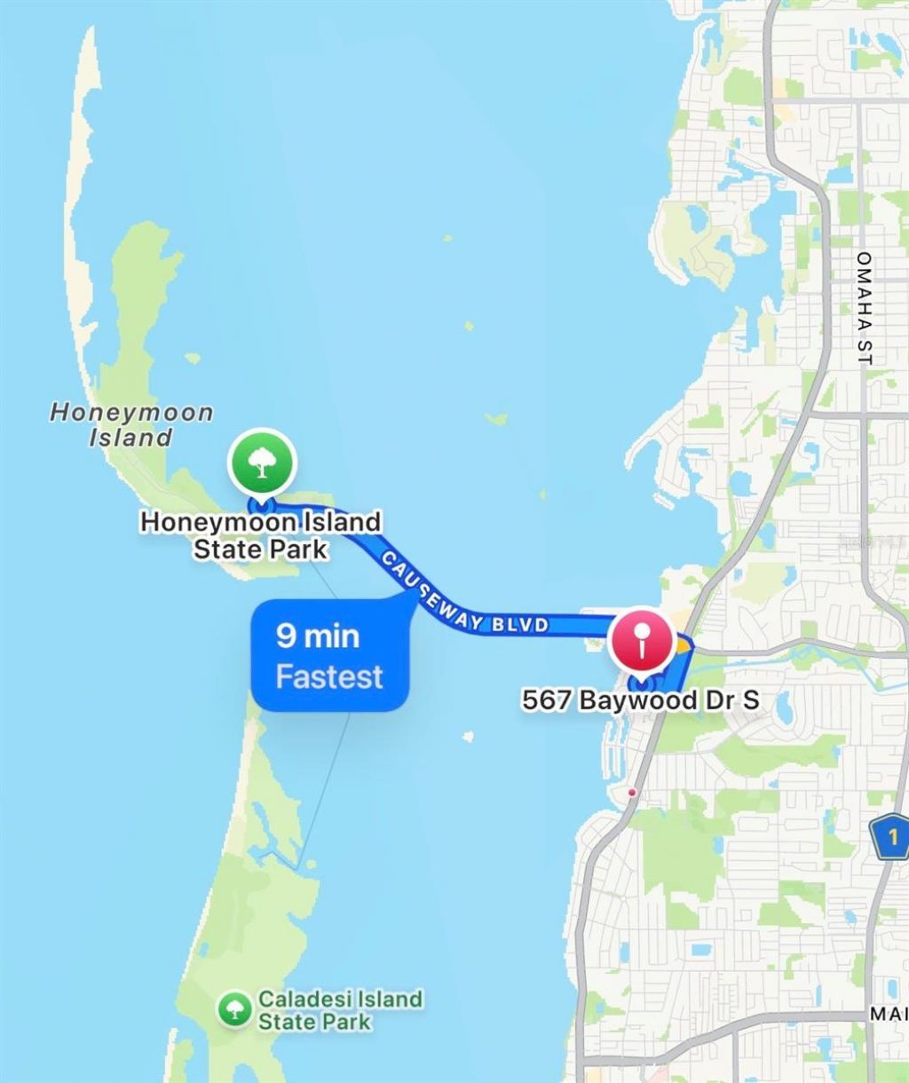 567 Baywood Drive S, Dunedin, FL 34698 Photo