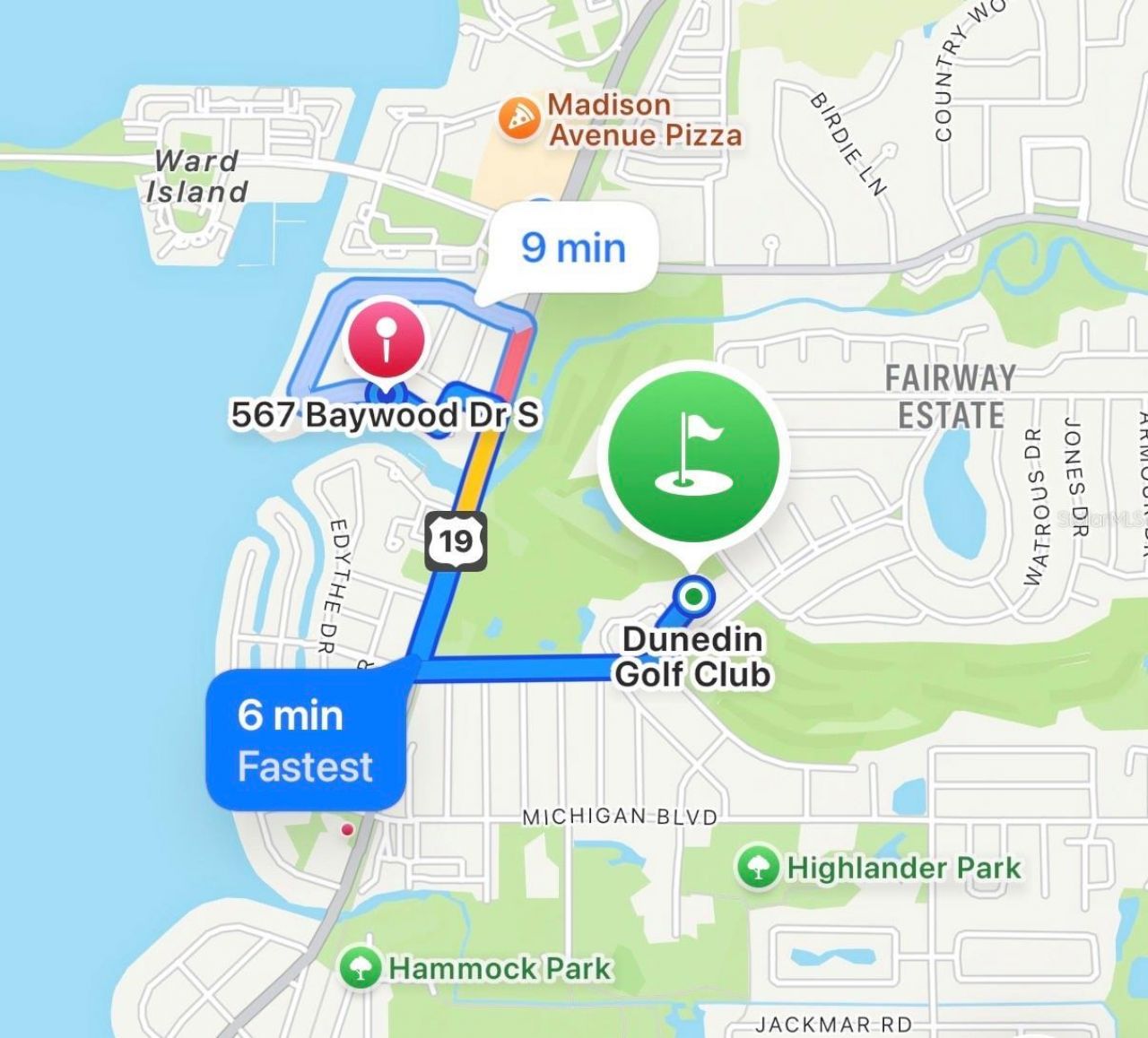 567 Baywood Drive S, Dunedin, FL 34698 Photo