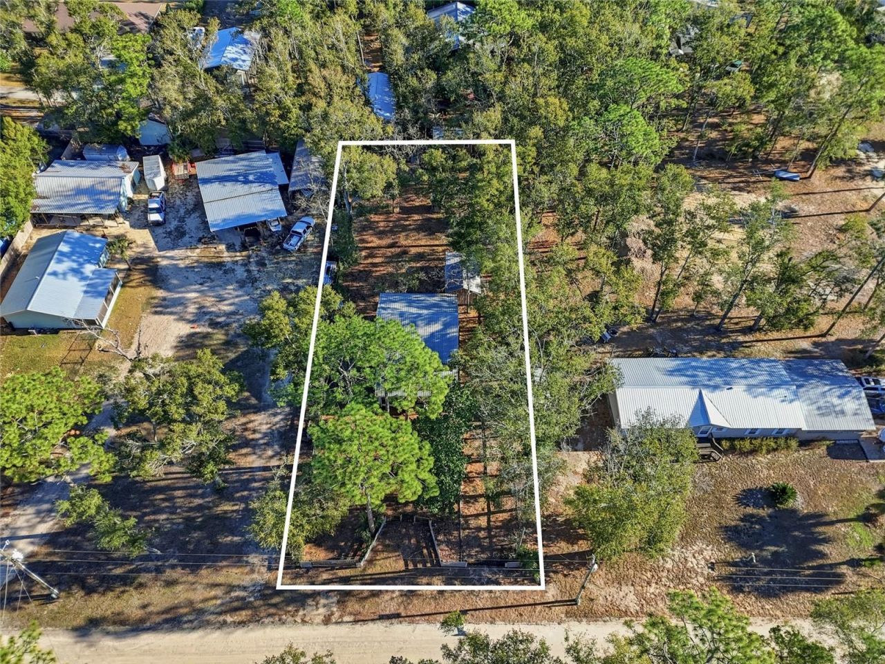 317 Cedar Street Ne, Steinhatchee, FL 32359 Photo