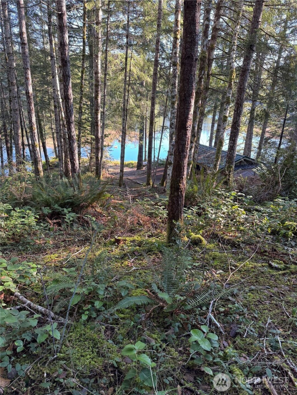 0 NE Lake Christine Road , Tahuya, WA 98588