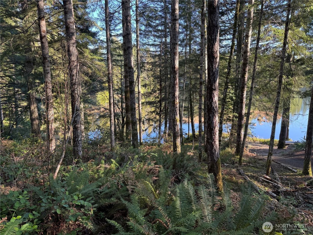 0 NE Lake Christine Road , Tahuya, WA 98588