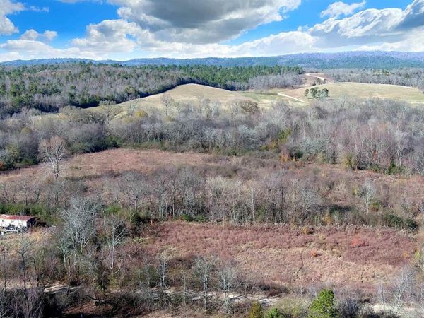 118 Peaceful Place Road, Caddo Gap, AR 71935