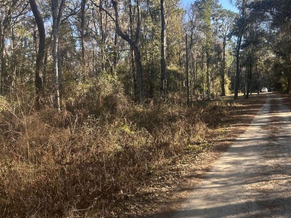 258 LAKE Drive, Florahome, FL 32140