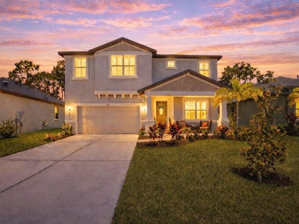 8219 TEA OLIVE TERRACE, PALMETTO, FL 34221