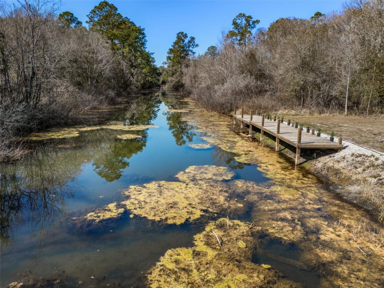 7235 N Canal Street, Webster, FL 33597 Photo