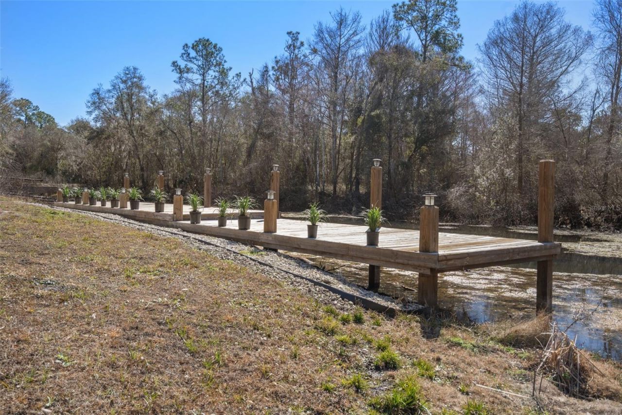 7235 N Canal Street, Webster, FL 33597 Photo