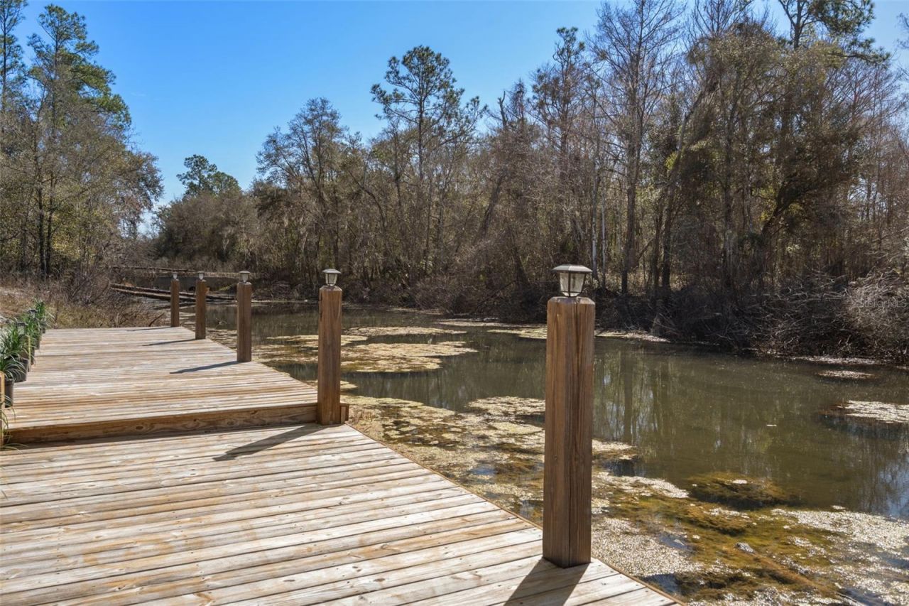 7235 N Canal Street, Webster, FL 33597 Photo