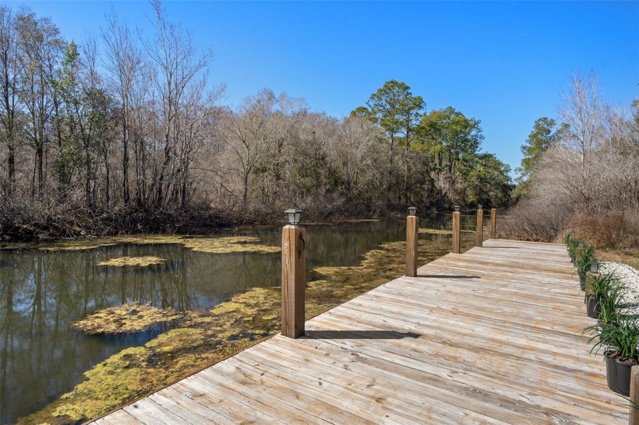 7235 N Canal Street, Webster, FL 33597 Photo