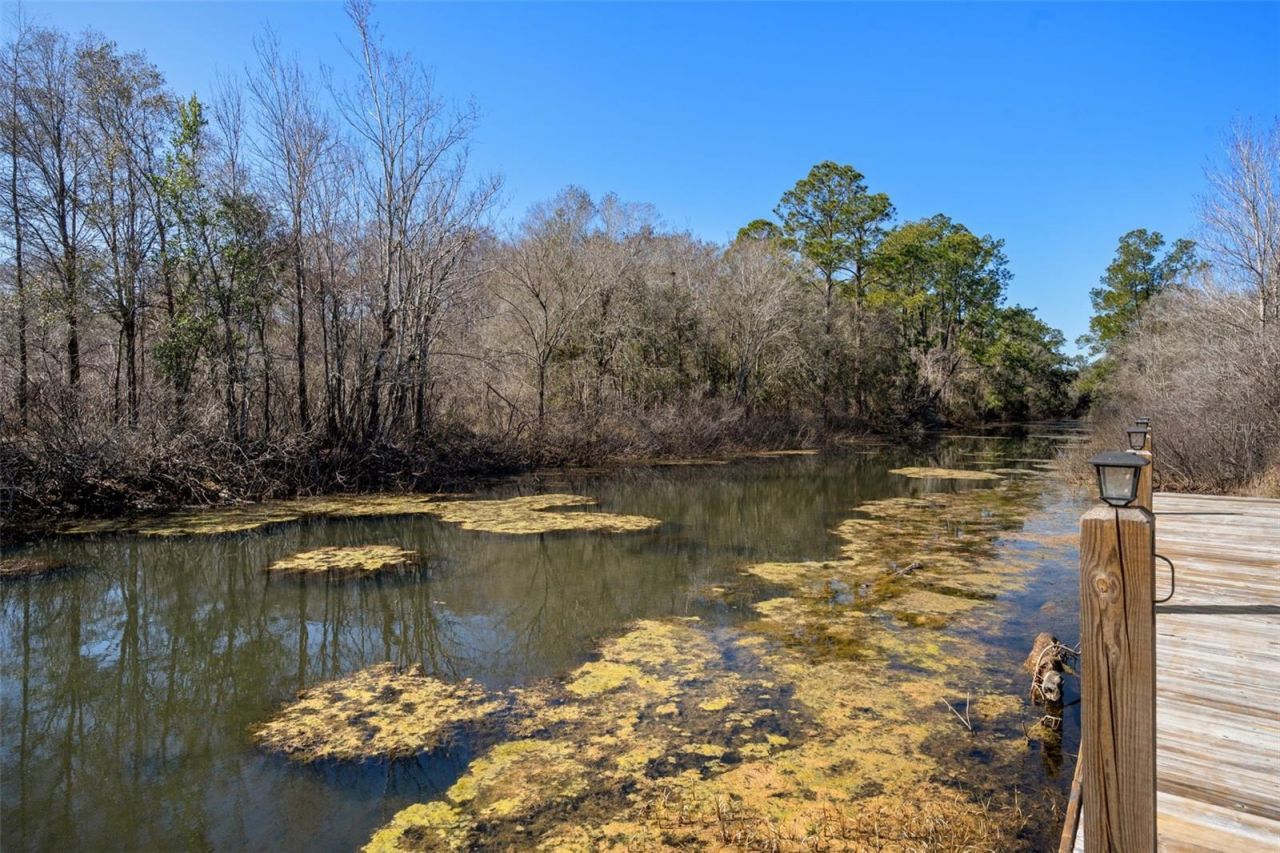 7235 N Canal Street, Webster, FL 33597 Photo