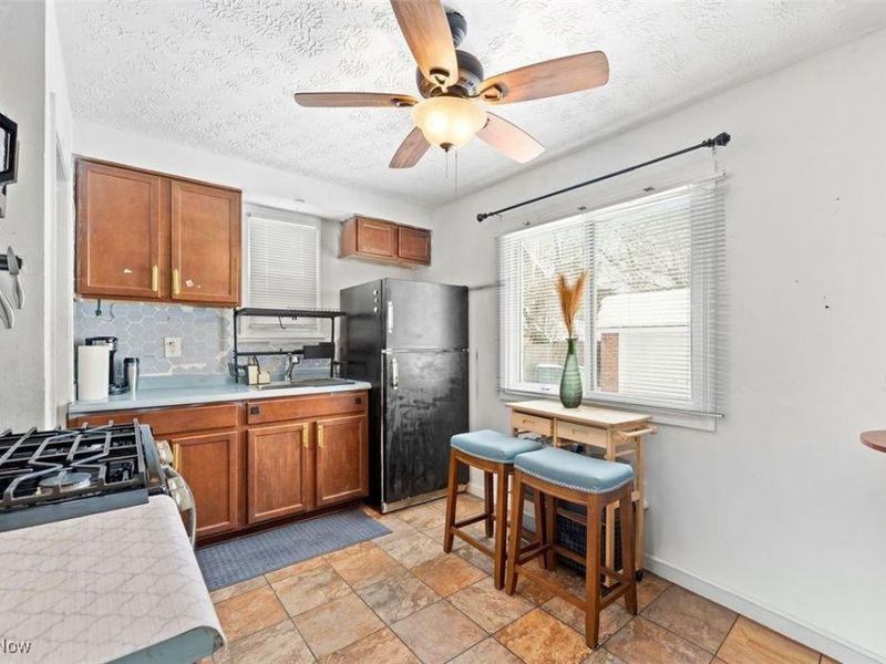 1268 Homestead Road, Cleveland, OH 44121 Photo 3