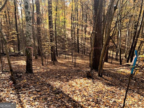 1520 Snug Harbor Drive, Greensboro, GA 30642