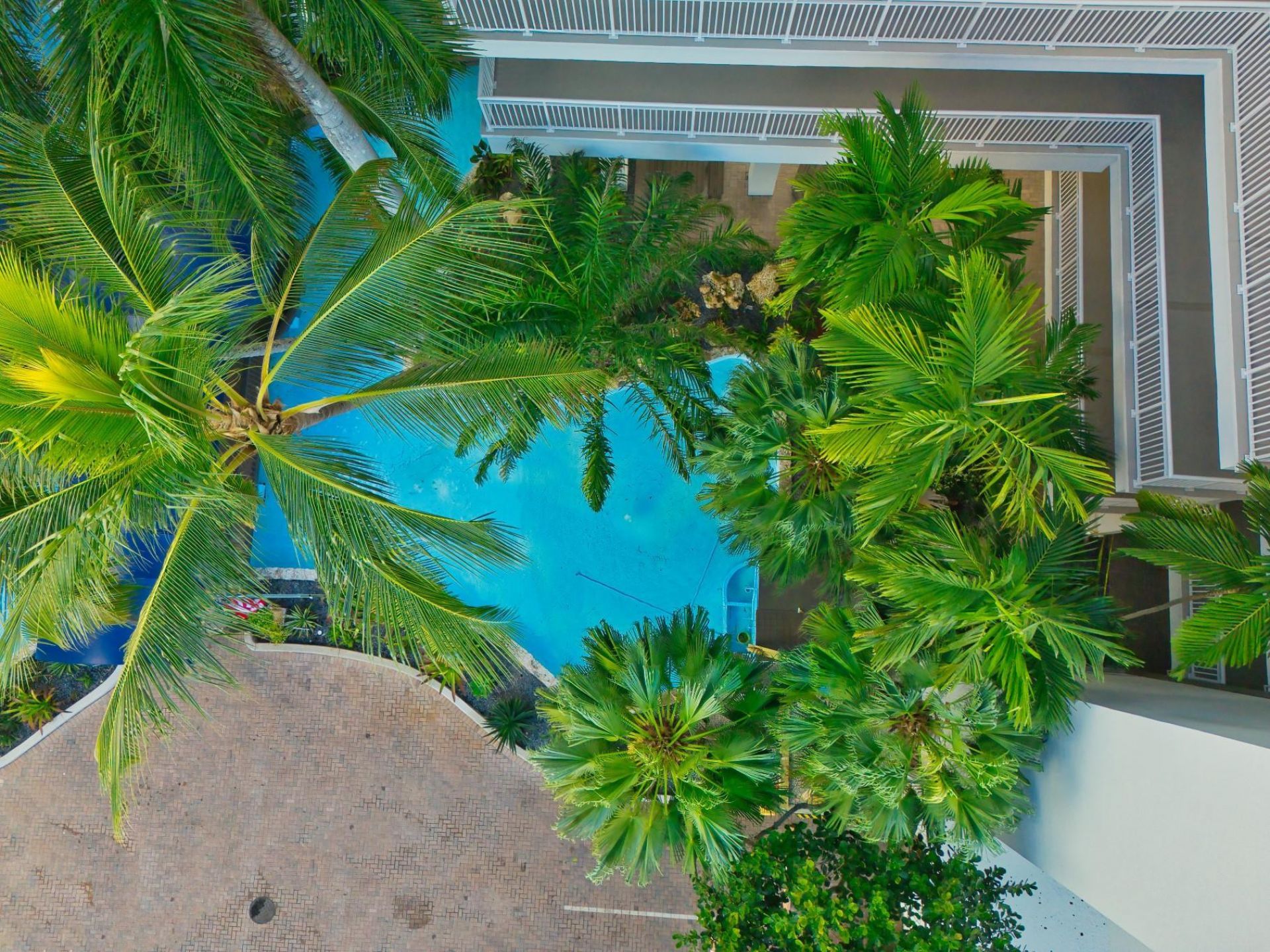 3100 NE 48th Street, Unit 412, Fort Lauderdale, FL 33308 Photo