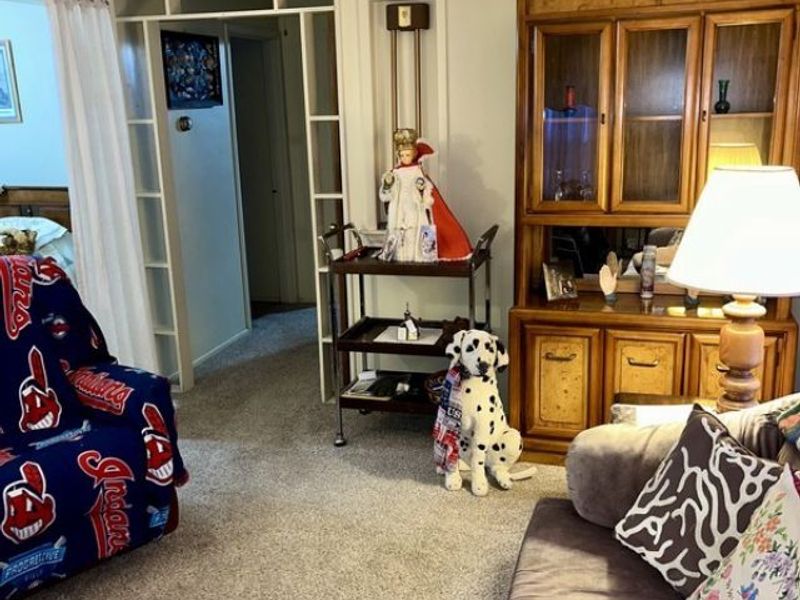 521 Powers Avenue, Girard, OH 44420 Photo 5