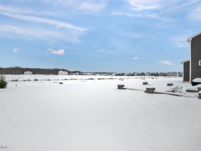 23504 Celestine Way, Columbia Station, OH 44028 Photo 42