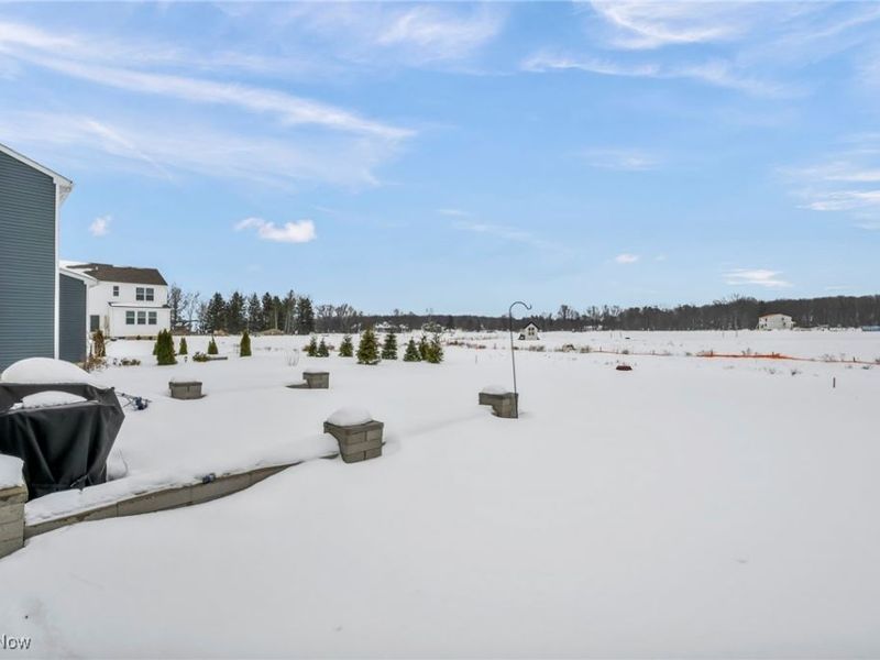 23504 Celestine Way, Columbia Station, OH 44028 Photo 43