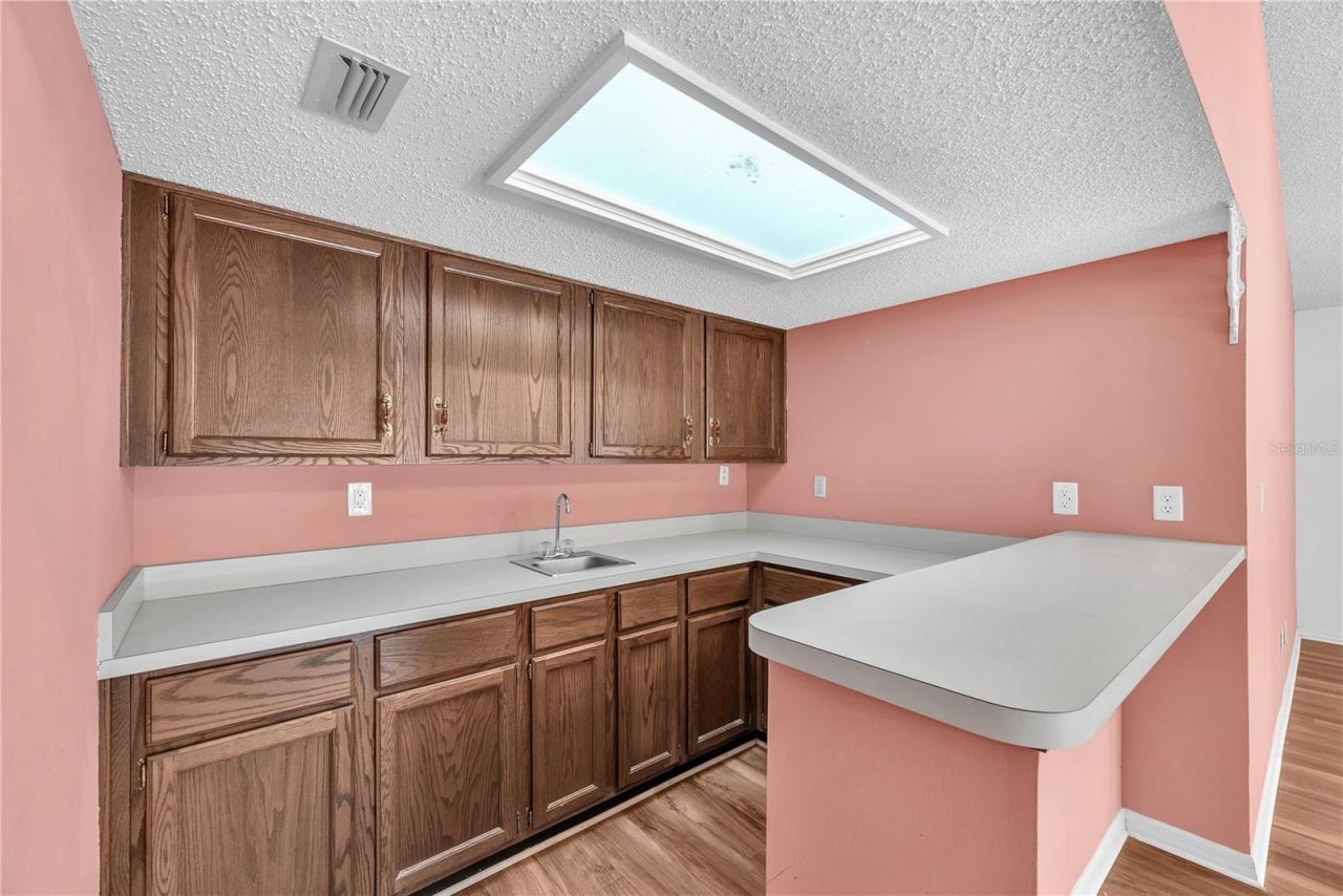 2545 Mason Oaks Drive, Valrico, FL 33596 Photo