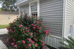 77 Offshore Dr. photo 4