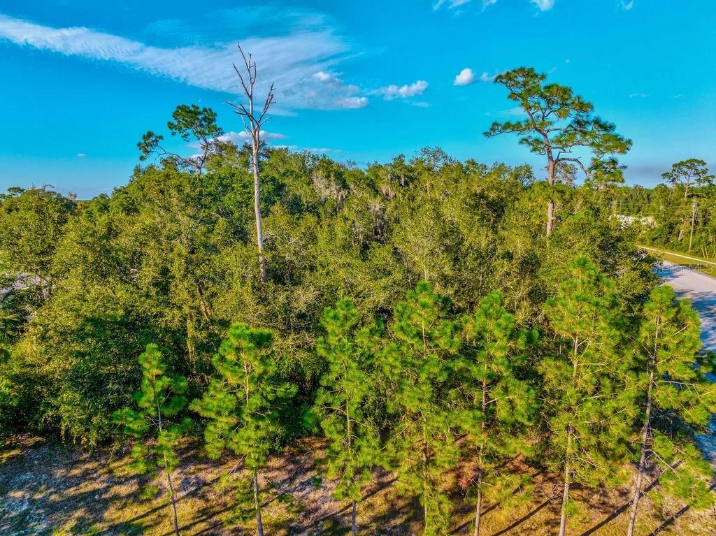 330 Bonnie Lane, Orange City, FL 32763 Photo