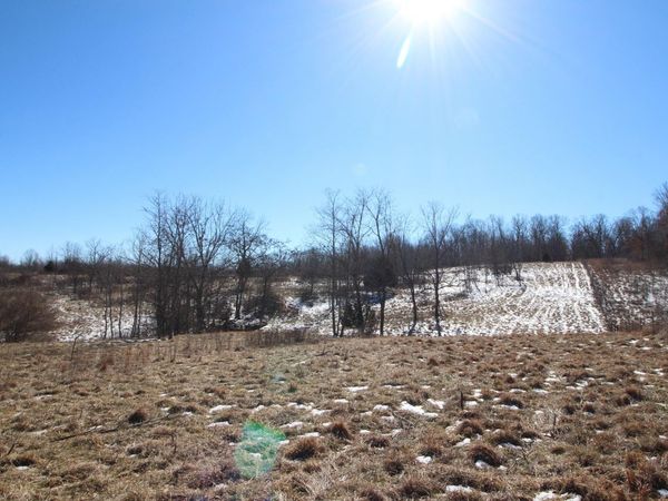 000 County Road 260, Myrtle, MO 65778