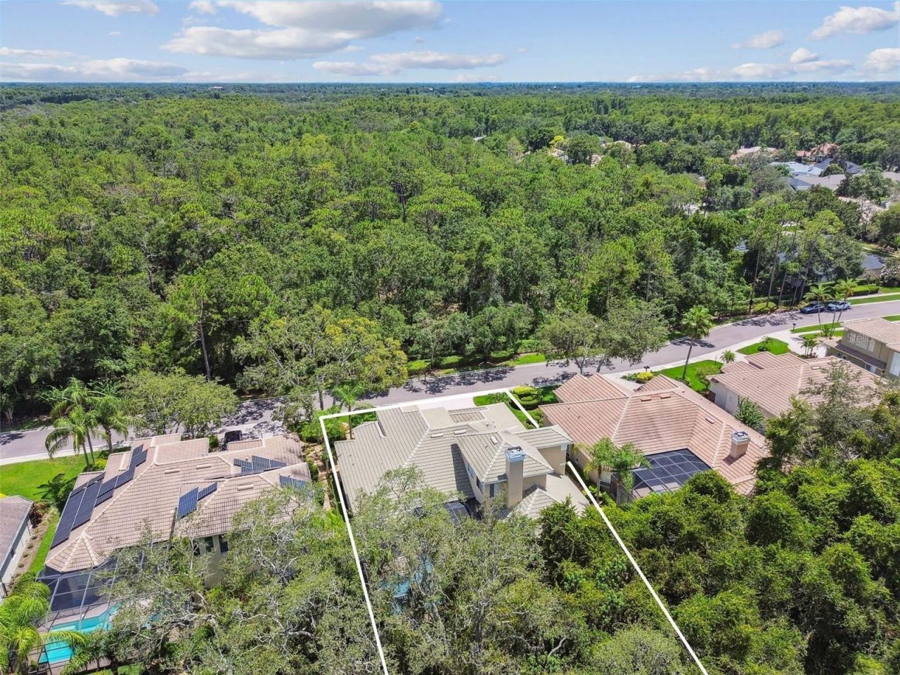 2935 Grey Oaks Boulevard, Tarpon Springs, FL 34688 Photo