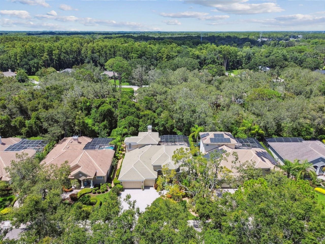 2935 Grey Oaks Boulevard, Tarpon Springs, FL 34688 Photo